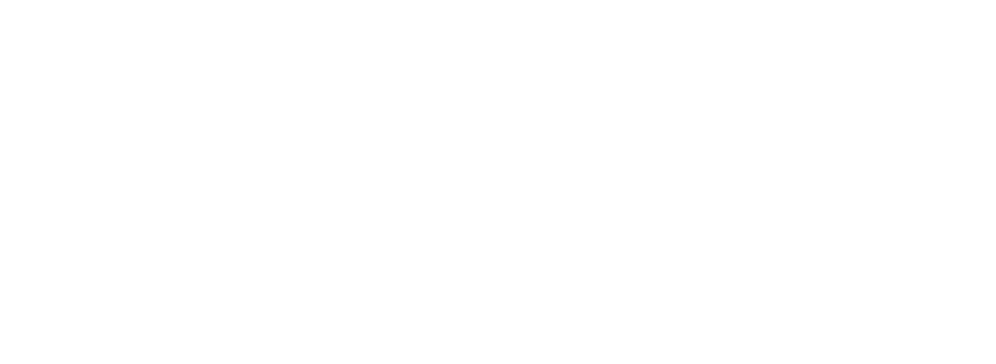 MANE Hair Experience